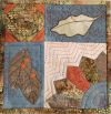 Quilting by the Foot: A Technique Sampler